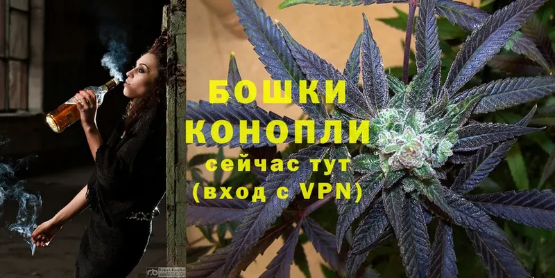 Бошки марихуана OG Kush  сколько стоит  Камызяк 